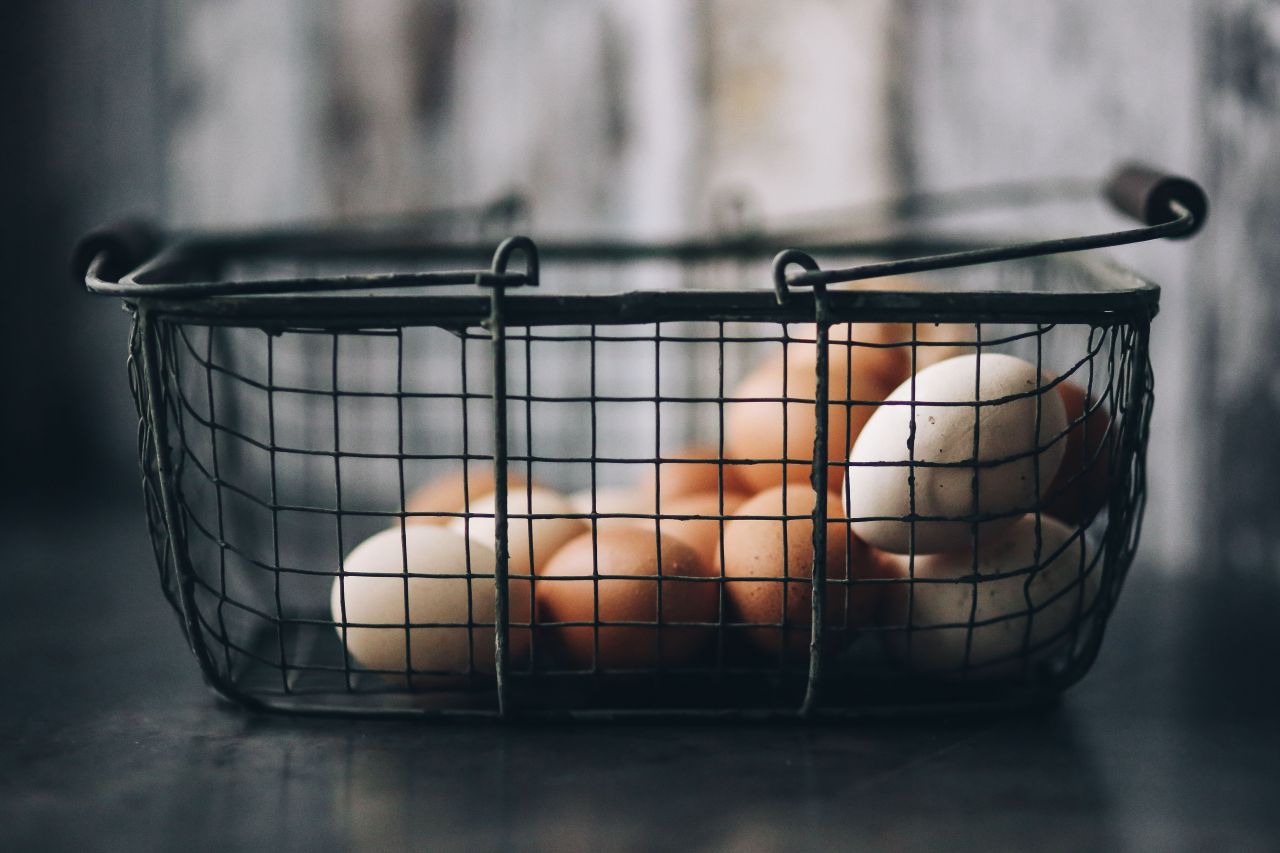 Oeufs Fipronil Substances Toxiques Alimentation