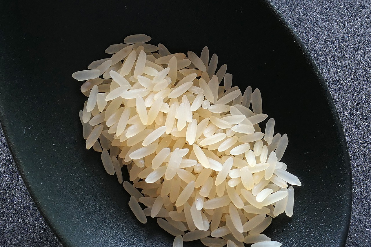 Riz Cadmium toxicité